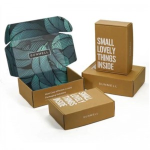 Custom printing logo cosmetic corrugated packaging recycle mailer paper box airplane shipping box